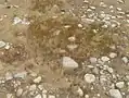 Floaters by the Great Sacandaga Lake in New York