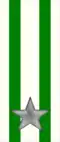 45th Command and Tactical Supports Unit "Reggio"