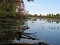 Mud Lake, Britannia, Ottawa