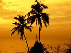 Sunset at bandstand