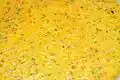 Indian mung dal