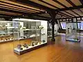 Archaeology section