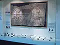 Artifacts retrieved from Hacilar neolithic site