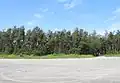 Behind the beach