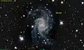 NGC 2835 imaged by Pan-STARRS