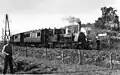 NS 7743 with a tram near Egmond aan de Hoef. (1934)
