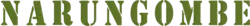 Computer simulation of Battle Honour