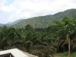 Monte Alén National Park