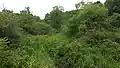 The creek and marsh near Newton Avenue in Wantage