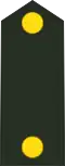 Adjudant-onderofficier (Royal Netherlands Army)[6]