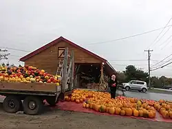 Neuville, Autumn harvest