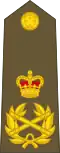 Field marshal