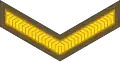 Lance bombardier/lance corporal