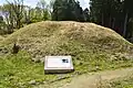 Kofun No.81