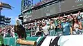 Noah the Bald Eagle at Philadelphia Eagles