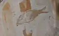 Notagogus cf. imimontis