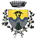 Coat of arms of Novafeltria