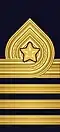 Shoulder mark (embroidered) (Coastal Artillery/Amphibious Corps)
