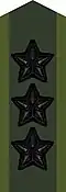 Collar patch m/58 (black m/02) on field uniform M90 (2002–present)