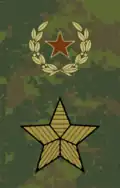 Field uniform (2013–present)