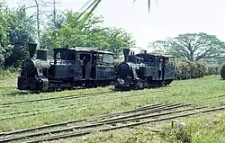 Pangka 10