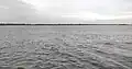 Ocean-like backwater in Pulicat