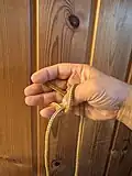3 : long finger end of the bight hooked by the thumb from outside and down