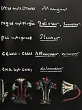 Reproduction of hieroglyphs from the Grammaire