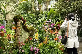 Orchid Symphony exhibit.