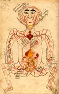 The Organs.