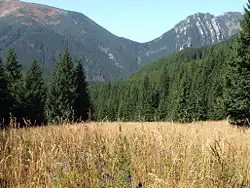 Iwaniacka Pass in Tatras (near Kominiarski Wierch, Poland).