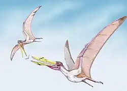Drawing showing C. cuvieri, depicted with a throat pouch stealing prey from Lonchodectes