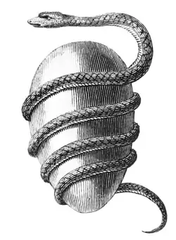 Image 51Snake and world egg of the inhabitants of Tyre (from List of mythological objects)