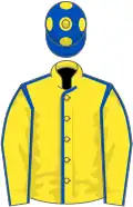 Yellow, royal blue seams, royal blue cap, yellow spots