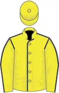 Fluorescent yellow, dark blue seams, fluorescent yellow cap