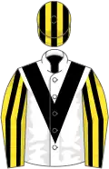 White, black chevron, yellow and black striped sleeves, yellow and black striped cap