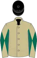 Beige, beige and dark green diabolo on sleeves, black cap