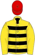 Yellow and black hoops, yellow sleeves, red cap