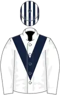 White, dark blue chevron, striped cap