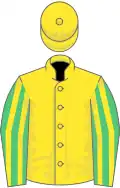 Yellow, emerald green and yellow striped sleeves