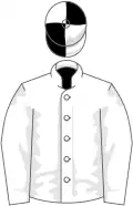 White, white sleeves, white cap, black quartered