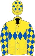 Yellow, royal blue triple diamond, royal blue diamonds on sleeves, yellow cap, royal blue diamonds