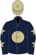 Dark blue, beige disc, beige stars on sleeves, beige cap