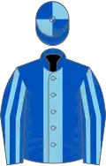 Royal blue, sky blue stripe, striped sleeves, quartered cap