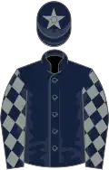 Dark blue, grey diamonds on sleeves, dark blue cap, grey star