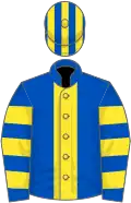 Royal blue, yellow stripe, hooped sleeves, striped cap