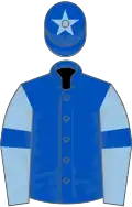Royal blue, light blue sleeves, royal blue armlets, royal blue cap, light blue star