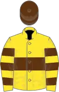 Yellow, brown hoop, hooped sleeves, brown cap