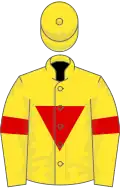 Yellow, red inverted triangle and armlets