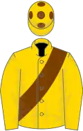 Gold, chocolate sash and spots on cap